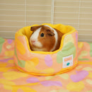 Guinea Pig Cuddle Cup | Pigcasso V2 Collection