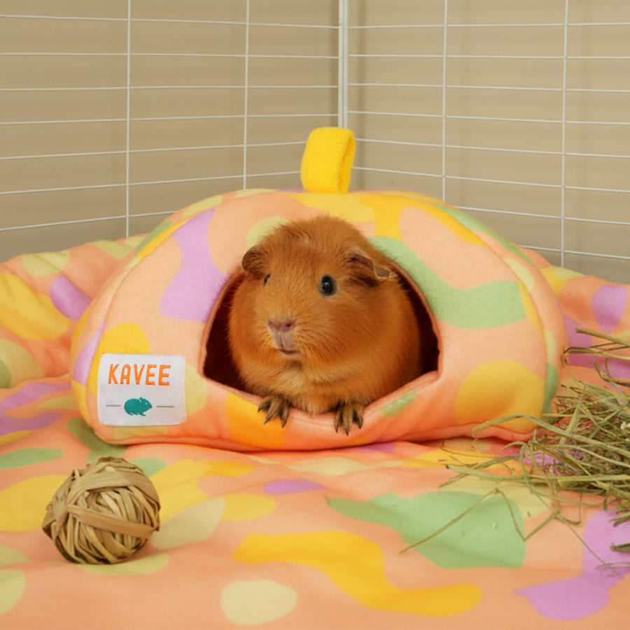 Guinea Pig Hide | Pigcasso Collection