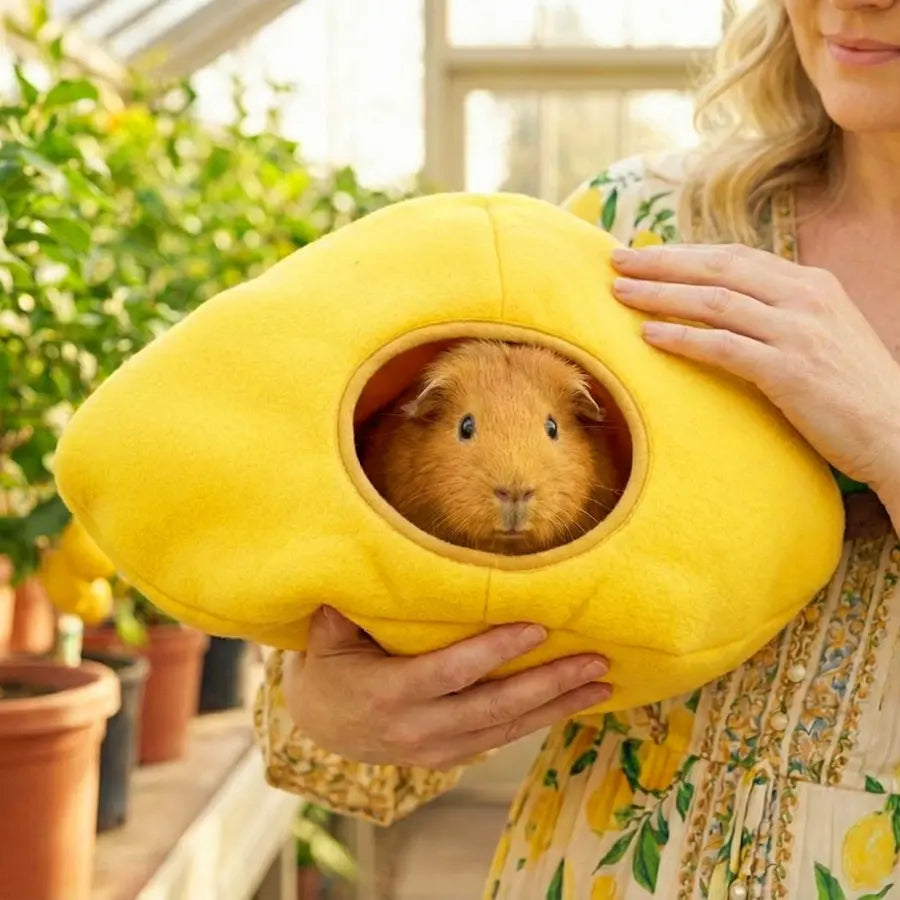 Lemon Guinea Pig Hide | Amalfi Collection