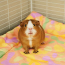 Plush Fleece Liner for Guinea Pigs | Pigcasso V2 Collection
