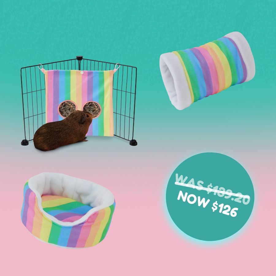 Sunny Piggy Bundle