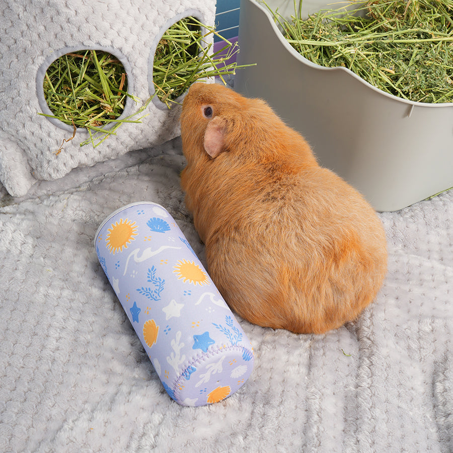 Freezable Bottle for Guinea Pigs & Rabbits
