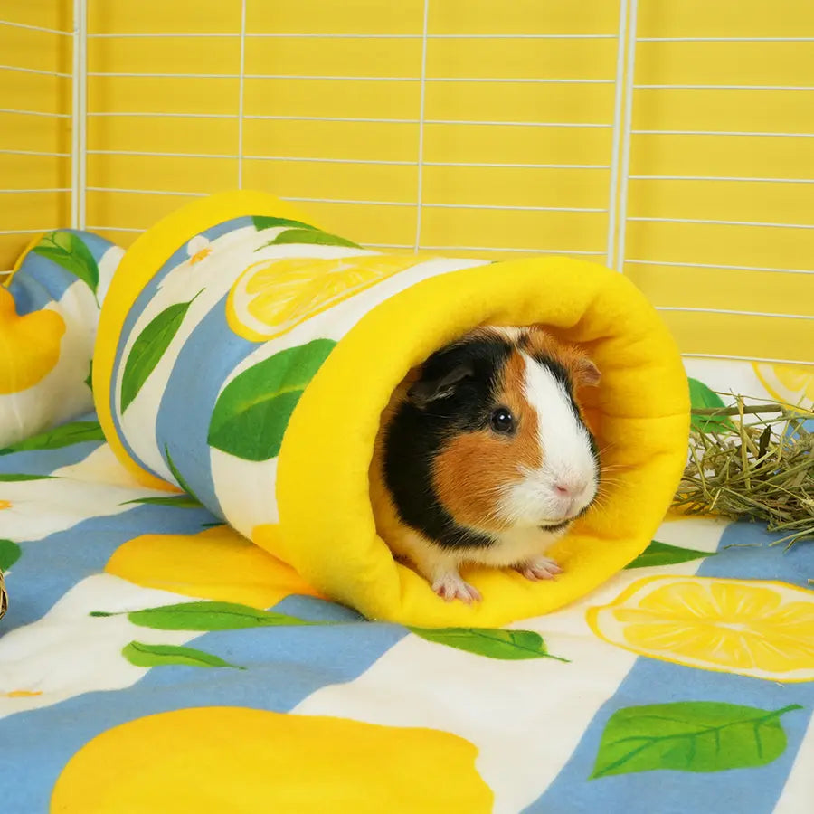 Lemon Amalfi tunnel cage lifestyle shot
