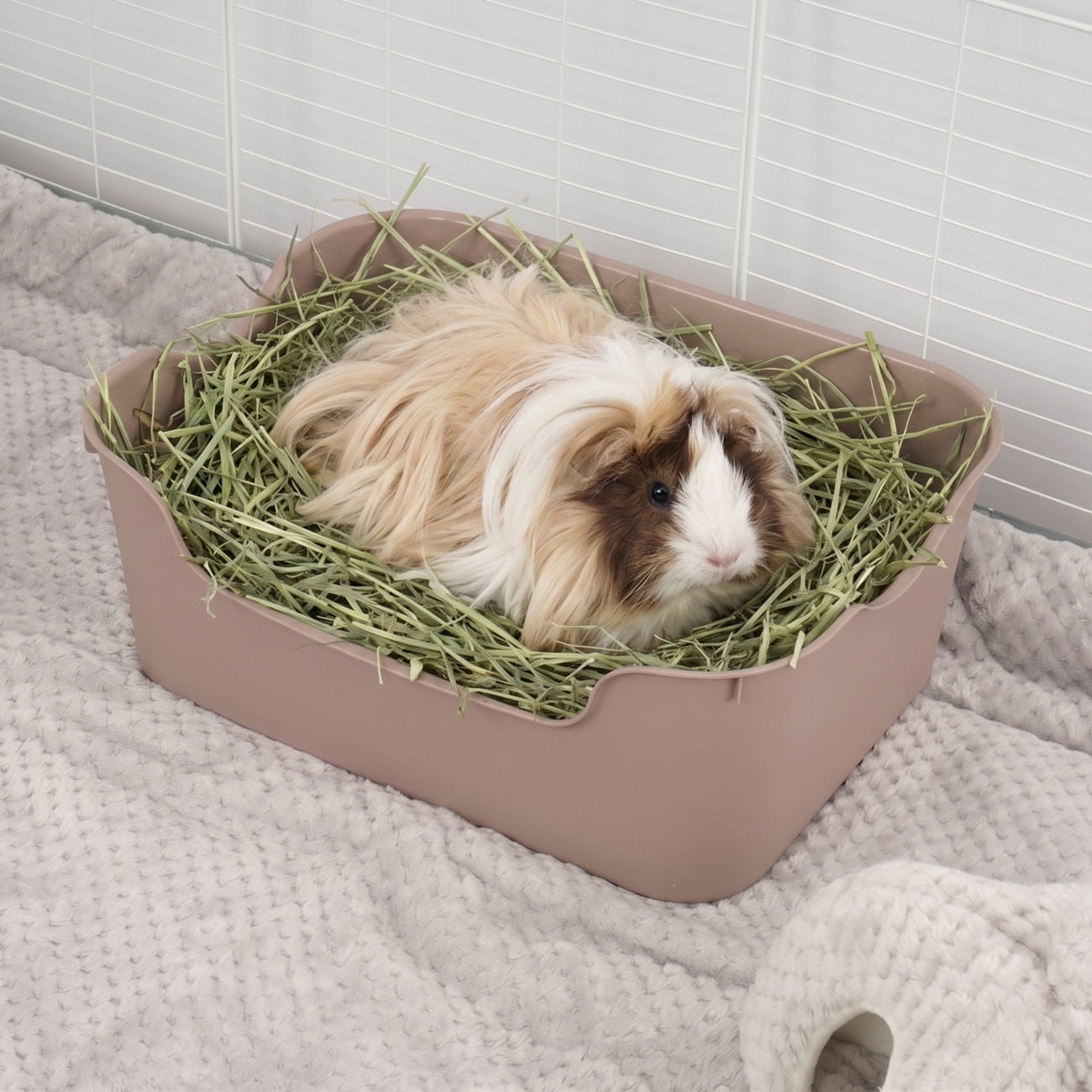 Litter Box for Guinea Pigs & Rabbits