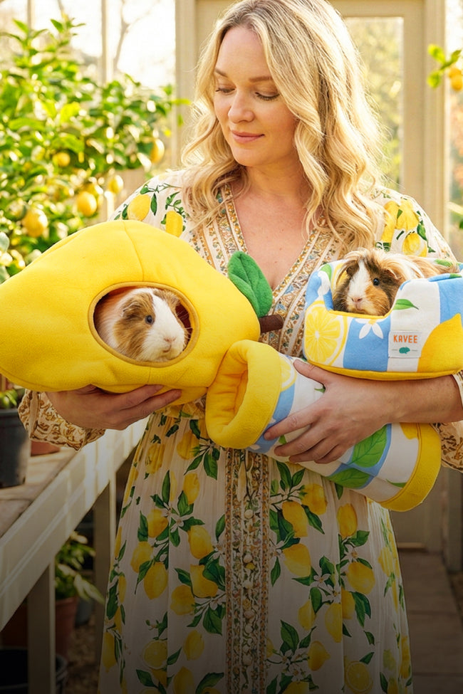 Raising Rabbits: A Month-by-Month Guide for First-Time Owners