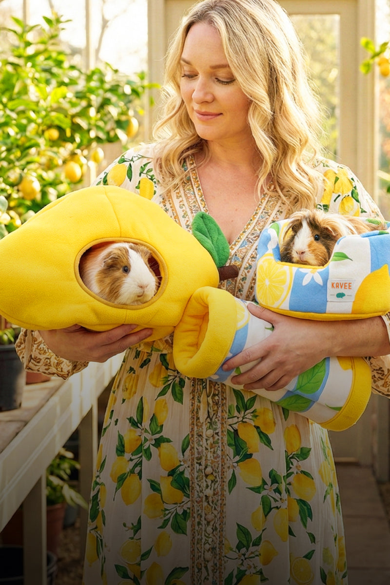 Sun Lemon Grey Rabbit Raising Rabbits: A Month-by-Month Guide for First-Time Owners