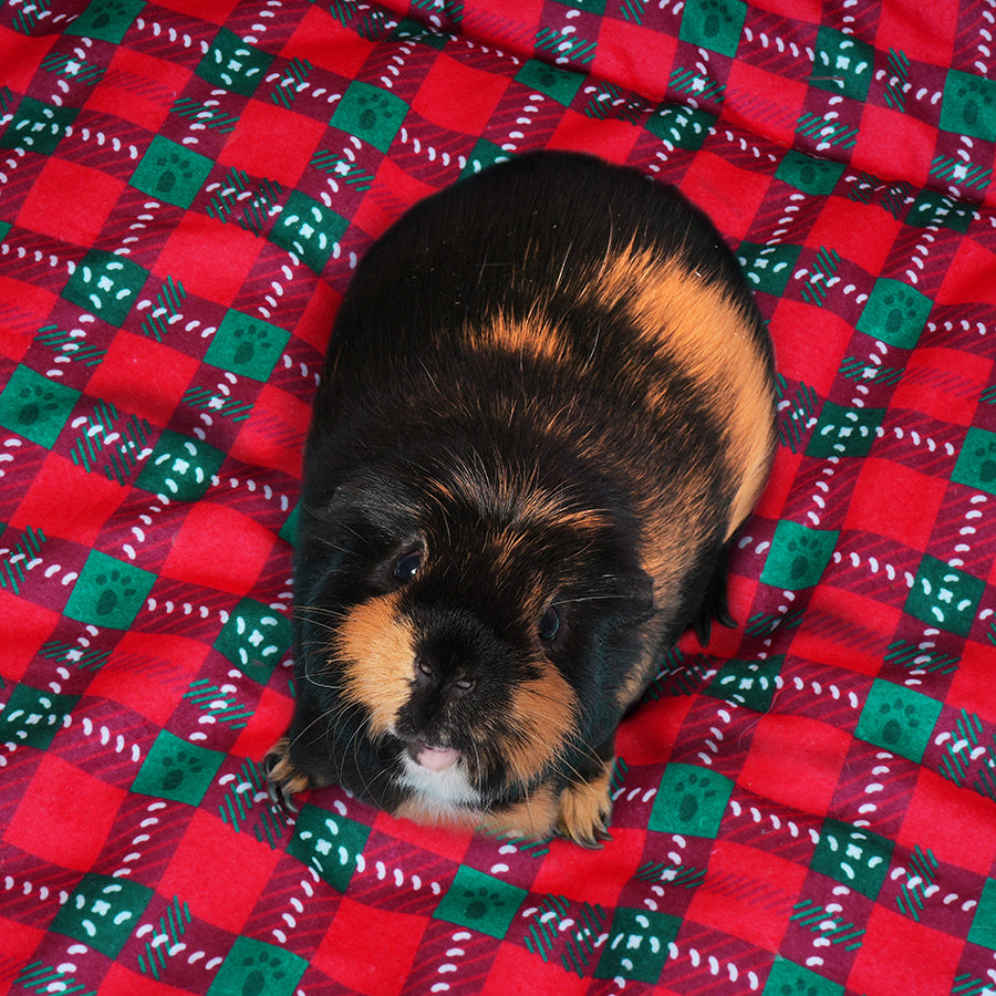Guinea Pig Fleece Liner | Merry Pigmas Collection