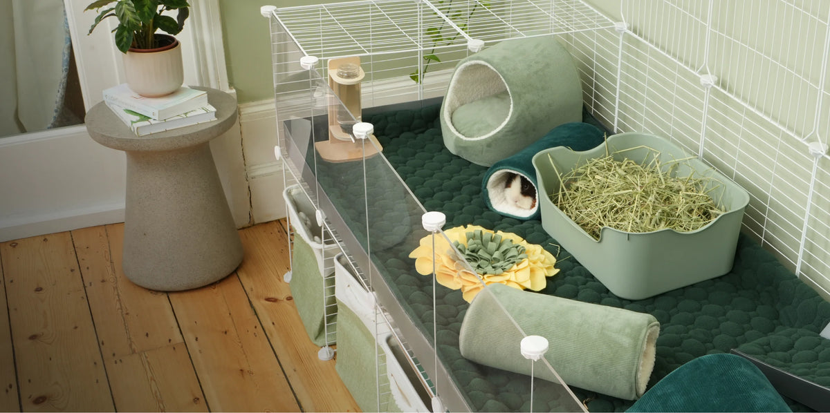 C&C guinea pig habitat with forest green fleece liner and Essentials accessories