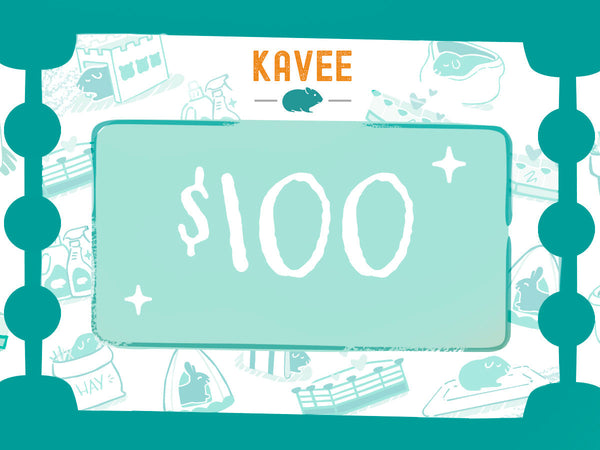Kavee Gift Card | $100