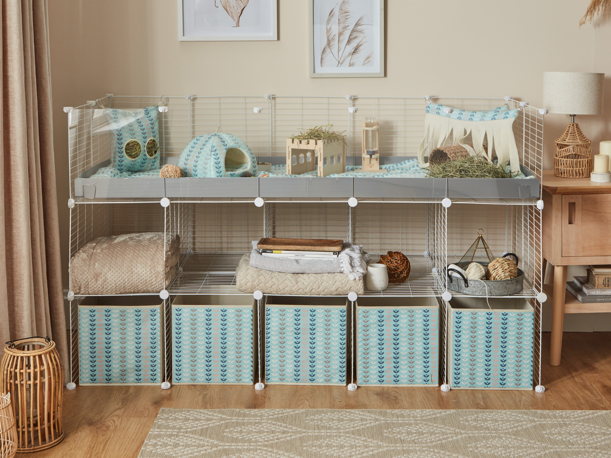 The US Leader for Guinea Pig Products | Kavee USA