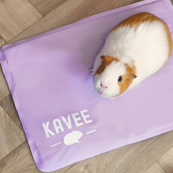 Guinea pig mats hotsell