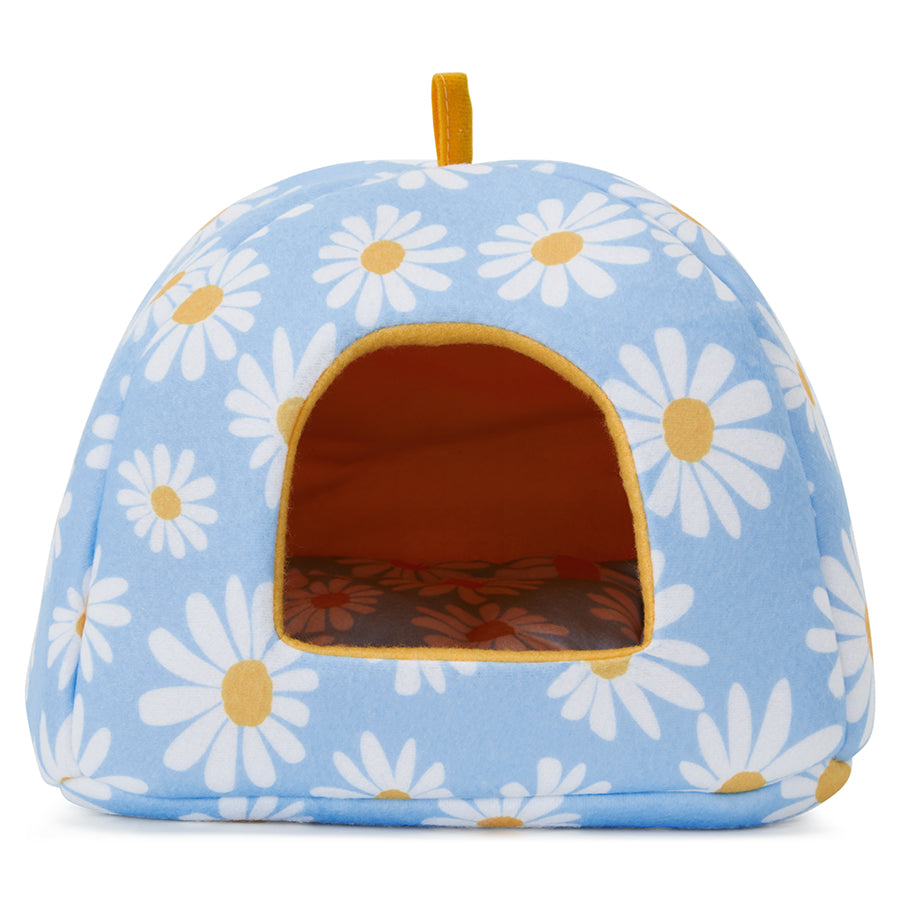 Premium Daisy Bundle for Guinea Pigs