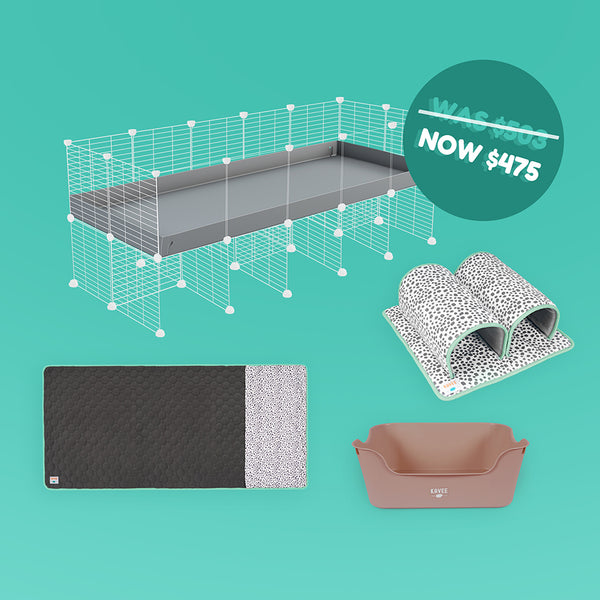 Luxury Cage Bundle for Guinea Pigs
