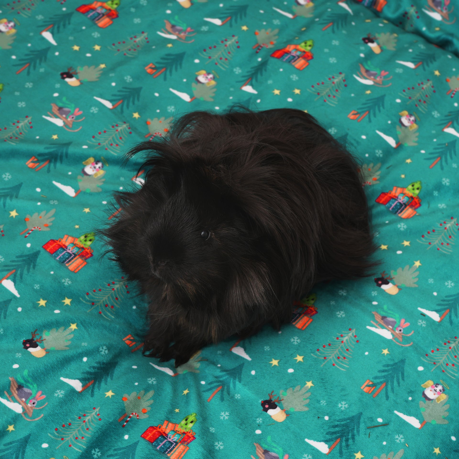 Fleece Liners for C and C Guinea Pigs Cages | Kavee C&C Cage USA
