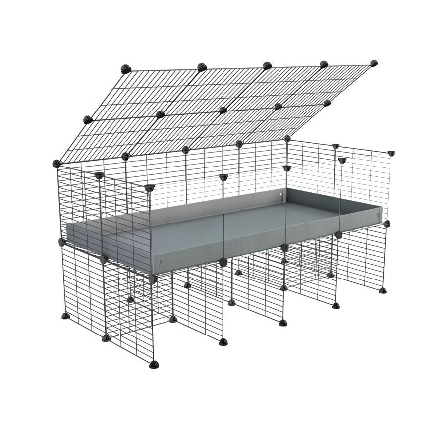 4x2 Clear C&C Cage with Stand