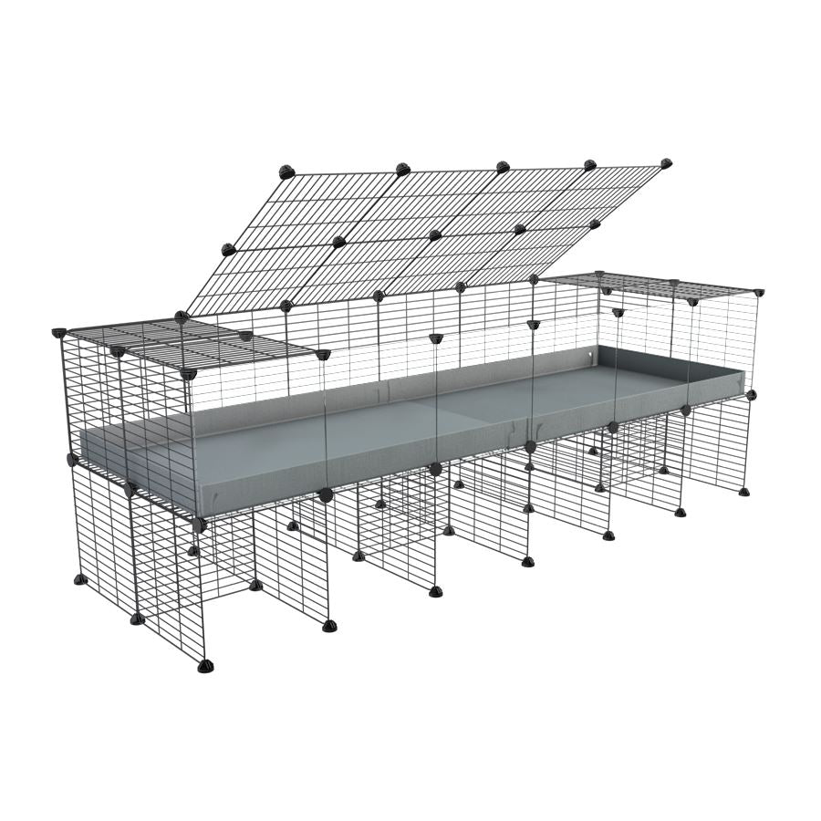 6x2 Clear C&C Cage with Stand