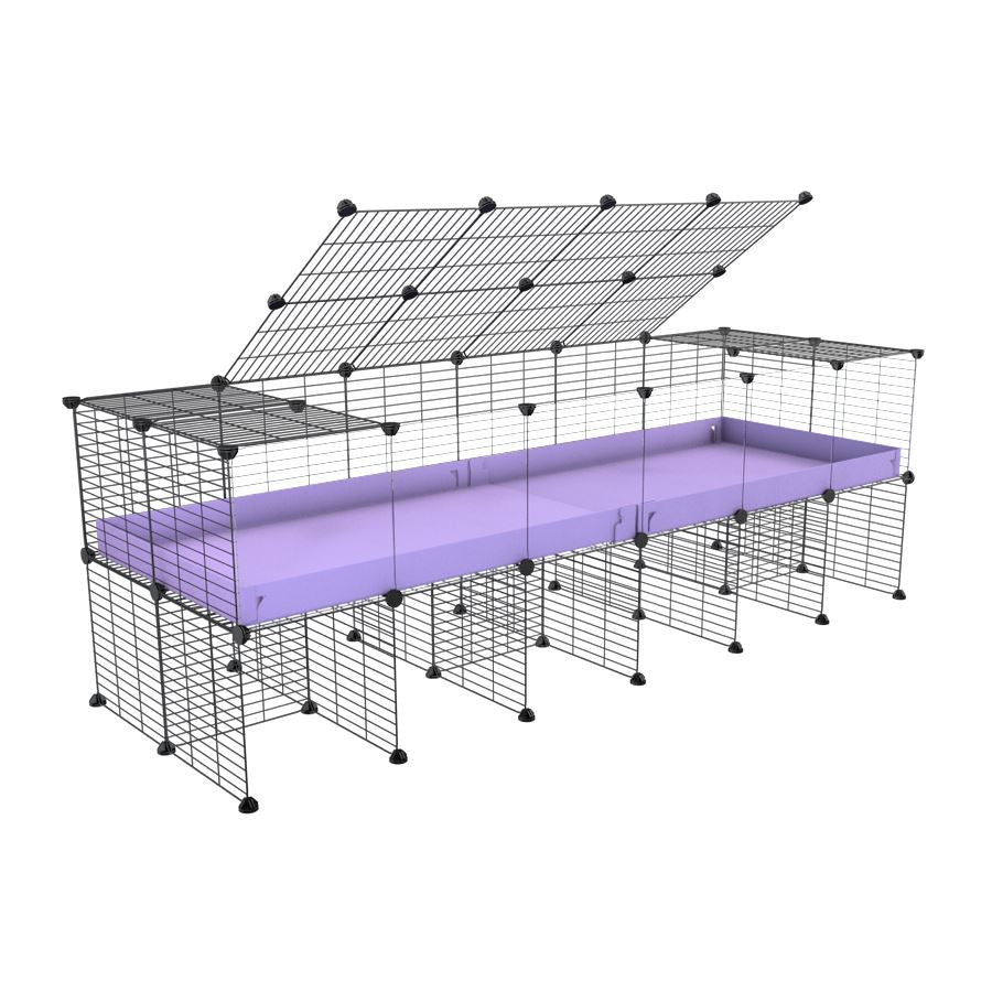 6x2 Clear C&C Cage with Stand