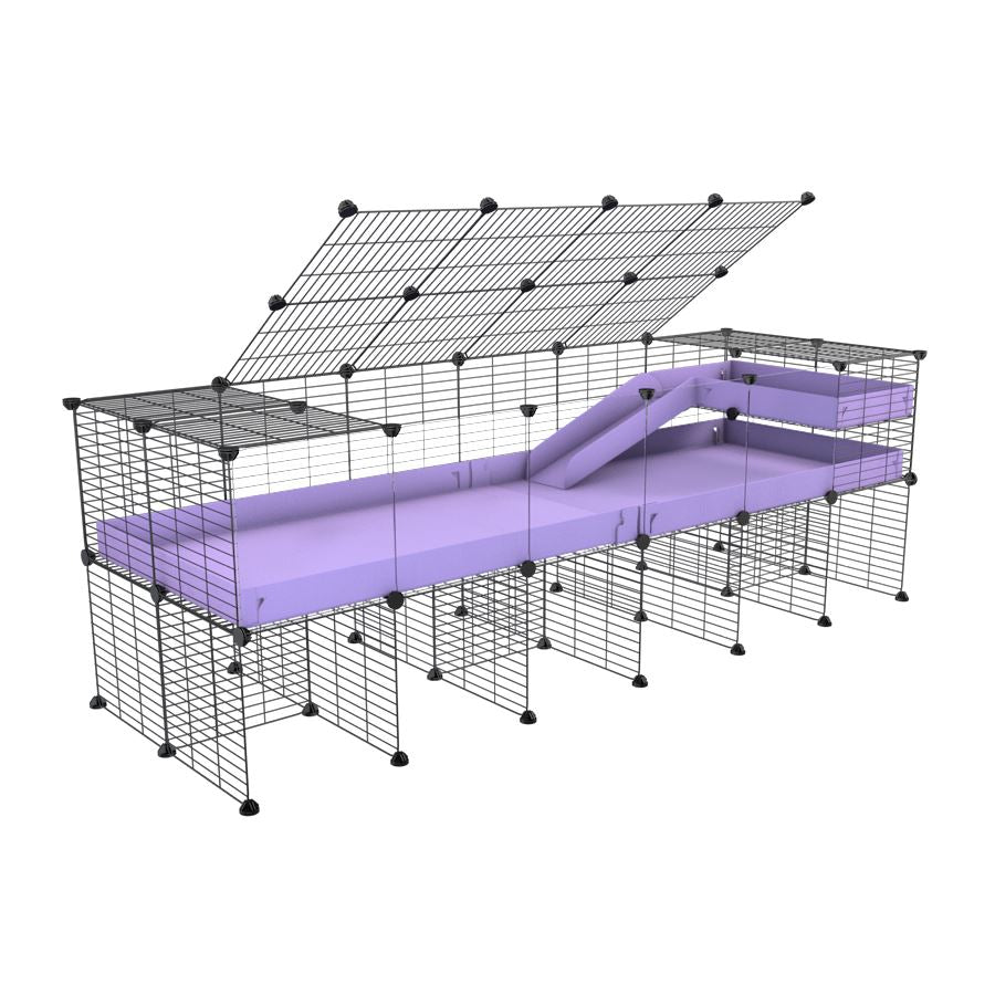 6x2 C&C Cage with Loft & Stand