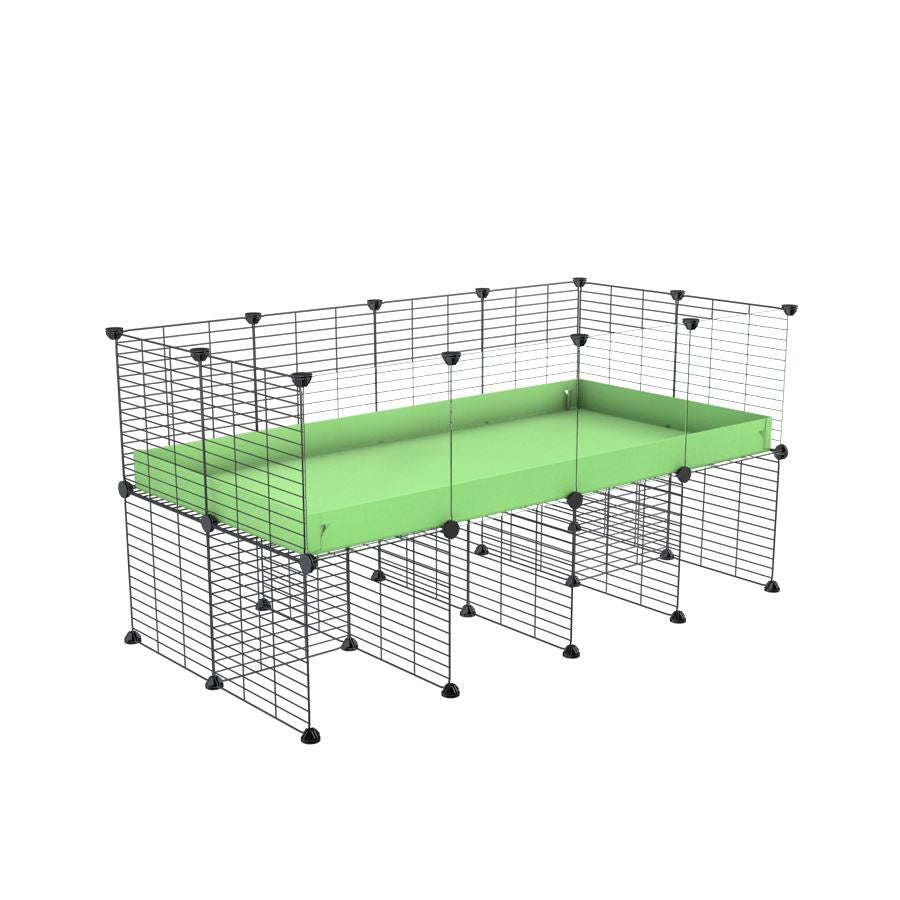 4x2 Clear C&C Cage with Stand