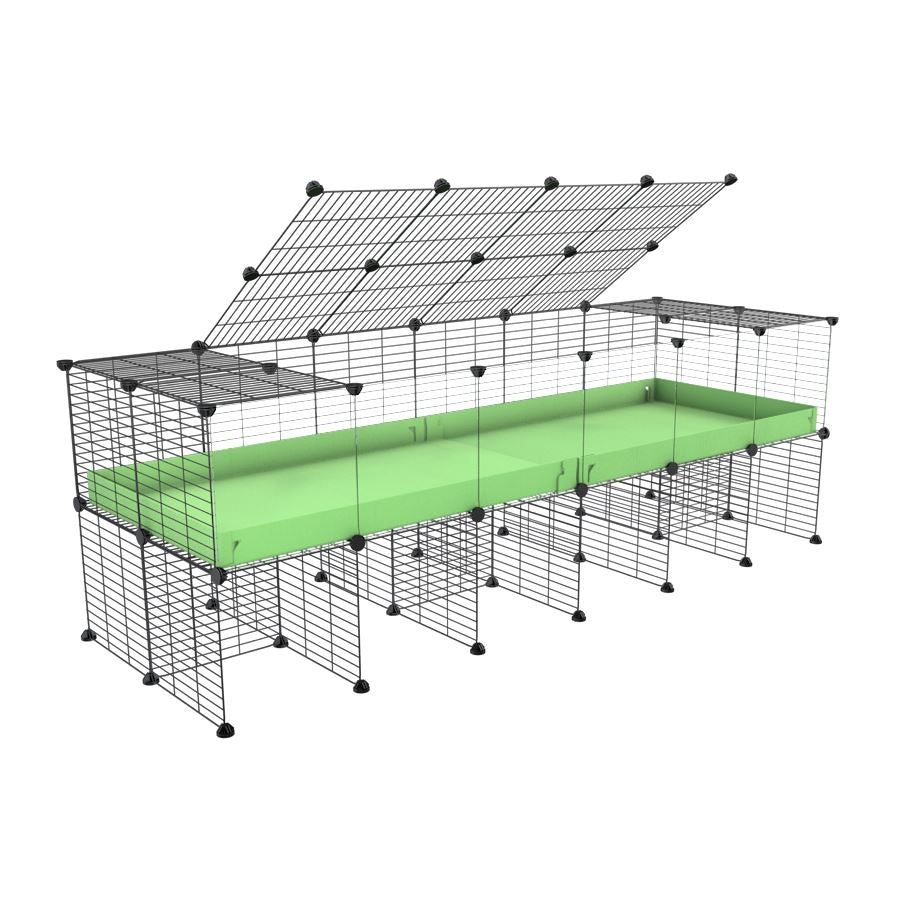 6x2 Clear C&C Cage with Stand