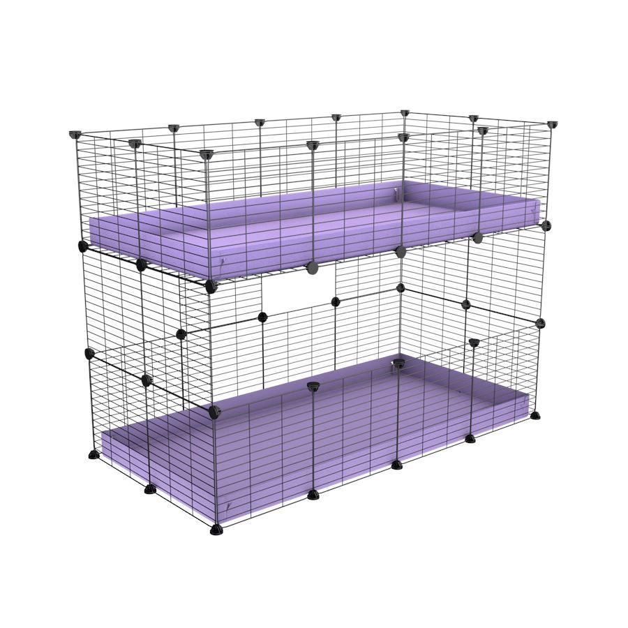 Double Stacked 4x2 Two Tier C and C Cage Guinea Pigs Kavee C&C