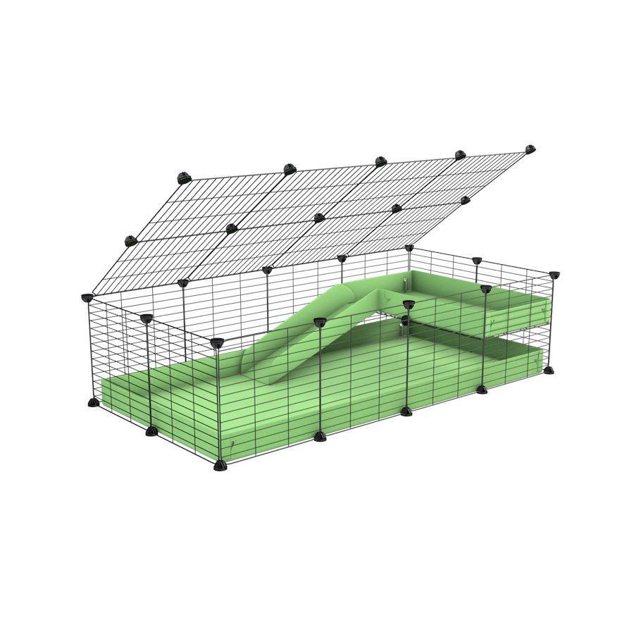 4x2 C&C Cage with Loft