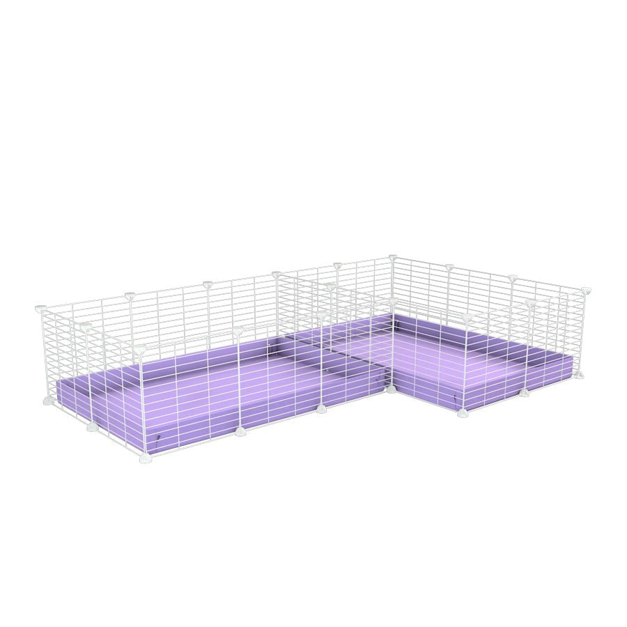 A 6x2 L-shape white C&C cage with divider for guinea pig fighting or quarantine with lilac coroplast from brand kavee