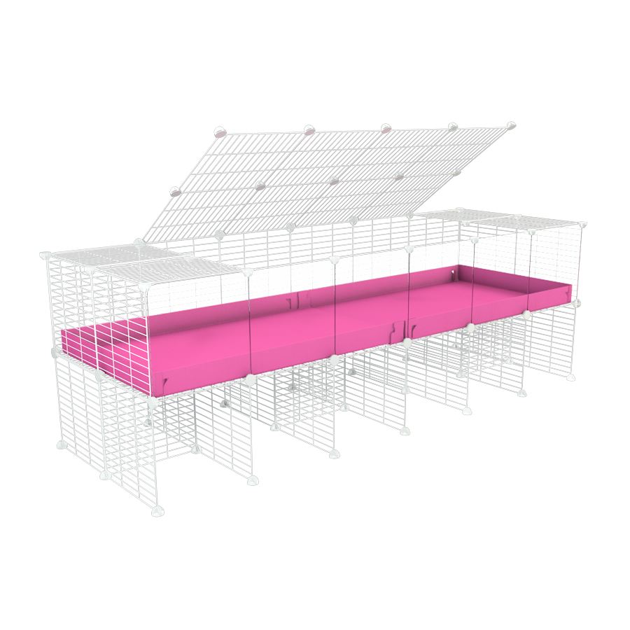 6x2 Clear C&C Cage with Stand