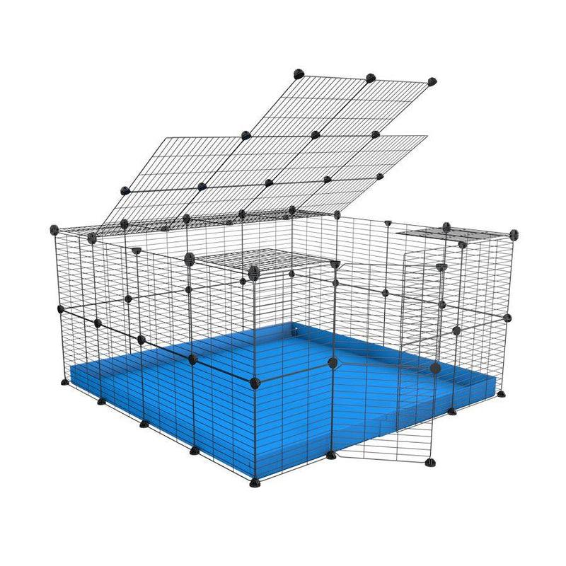 A 4x4 C&C rabbit cage with top and safe baby bars grids blue coroplast by kavee USA