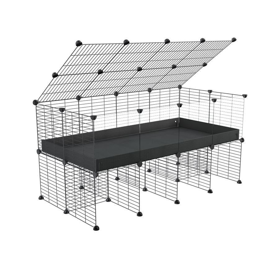 4x2 Clear C&C Cage with Stand