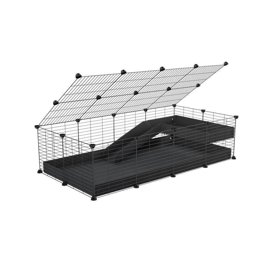 4x2 C&C Cage with Loft