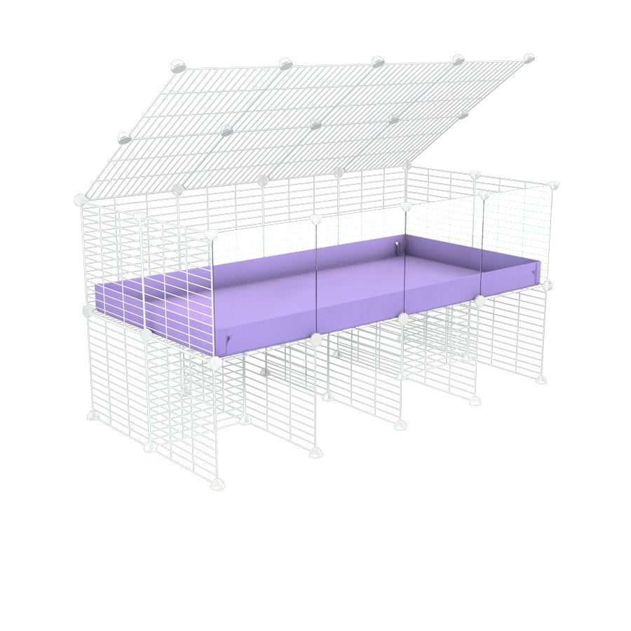 4x2 Clear C&C Cage with Stand