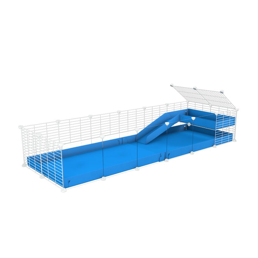 a 6x2 C&C guinea pig cage with clear transparent plexiglass acrylic panels  with a loft and a ramp blue coroplast sheet and baby bars white grids by kavee