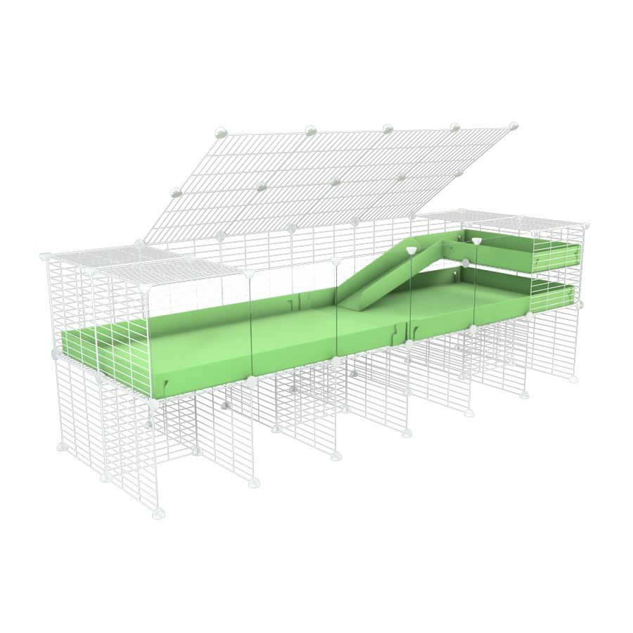 A 2x6 C and C guinea pig cage with clear transparent plexiglass acrylic panels  with stand loft ramp lid small size meshing safe white grids green pastel pistachio correx sold in USA