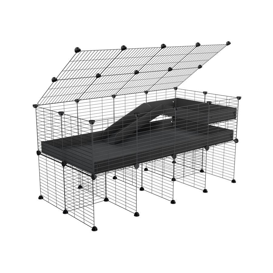 4x2 C&C Cage with Loft & Stand