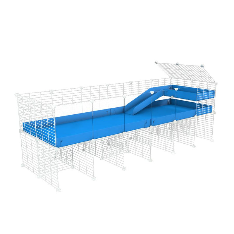 6x2 Clear C&C Cage with Loft, Ramp & Stand