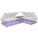 A 8x2 L-shape C&C cage with lid divider for guinea pig fighting or quarantine with lilac coroplast from brand kavee