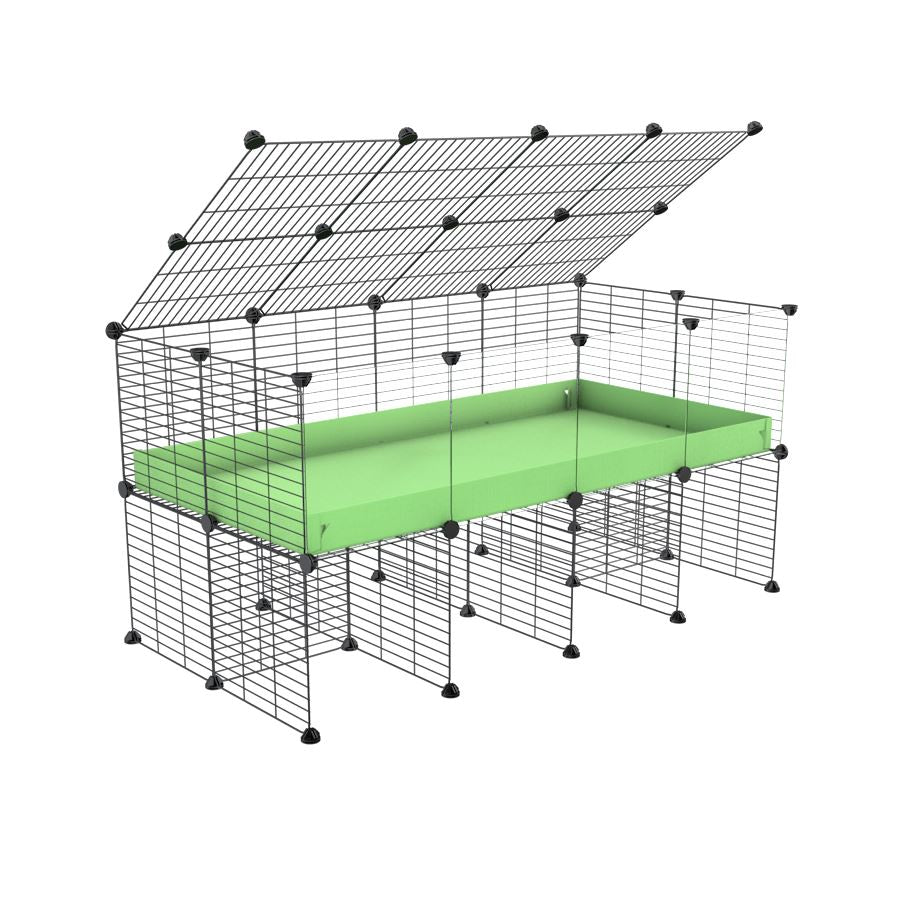 4x2 Clear C&C Cage with Stand