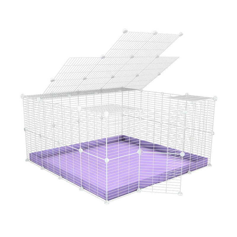 A 4x4 C&C rabbit cage with a lid and safe small meshing baby bars white C&C grids and purple coroplast by kavee USA