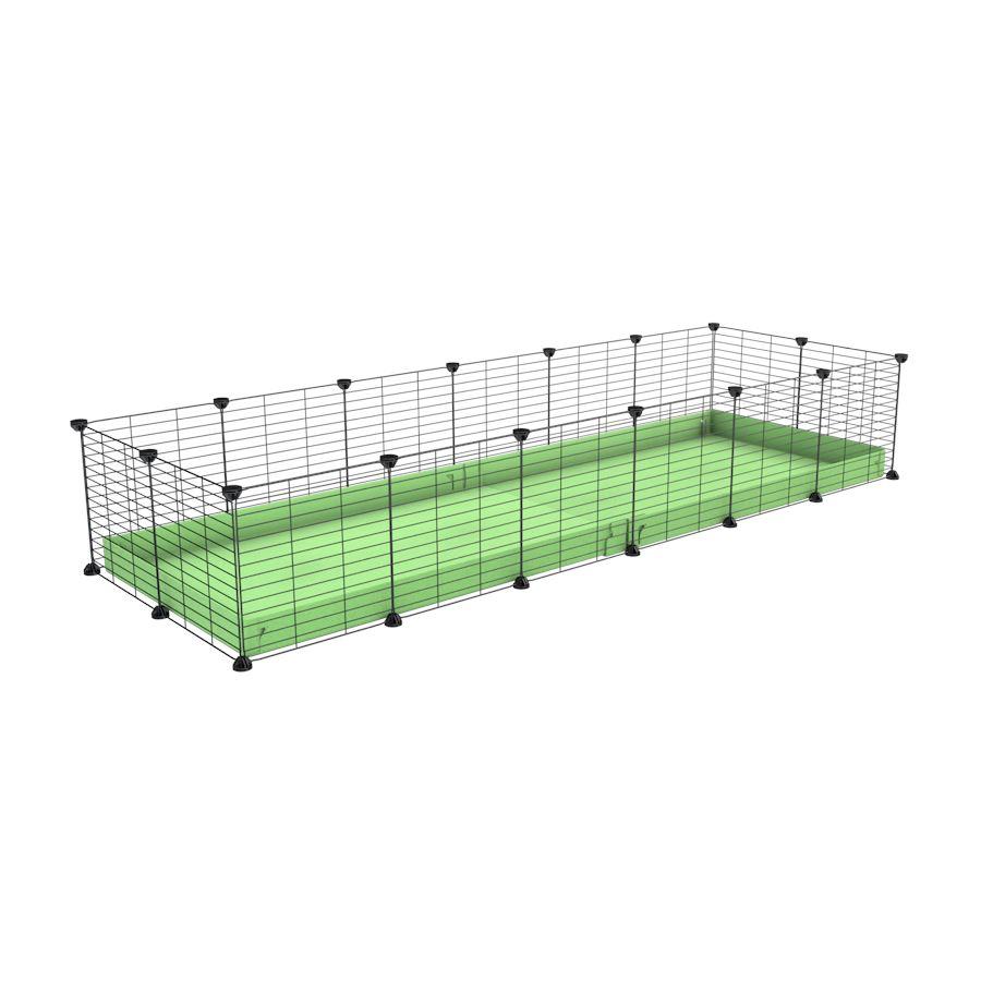 A cheap 6x2 C&C cage for guinea pig with green pastel pistachio coroplast and baby grids from brand kavee