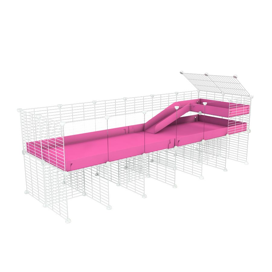 6x2 Clear C&C Cage with Loft, Ramp & Stand