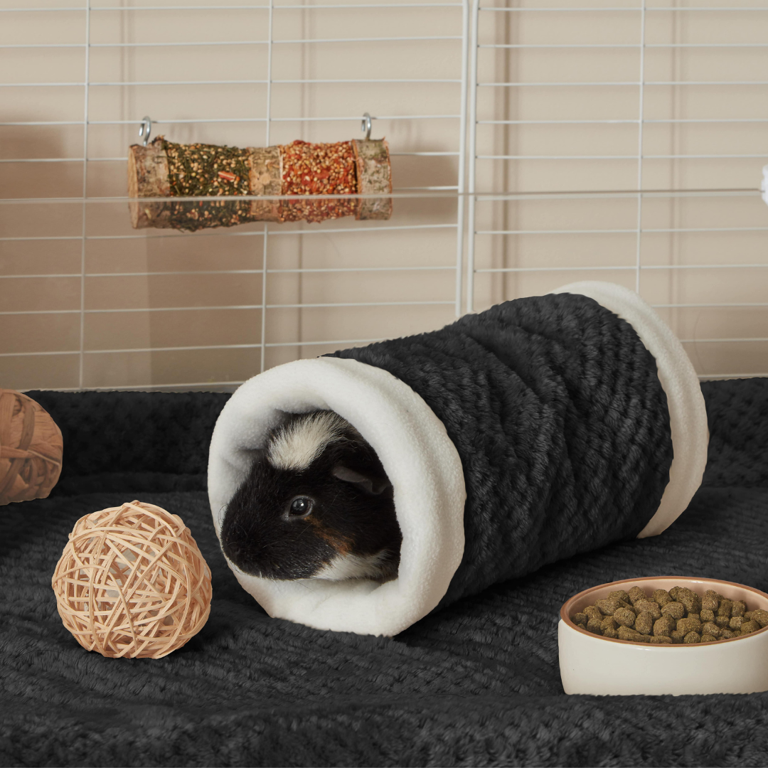 A tri coloured guinea pig inside of a black kavee tunnel on black kavee fleece liner