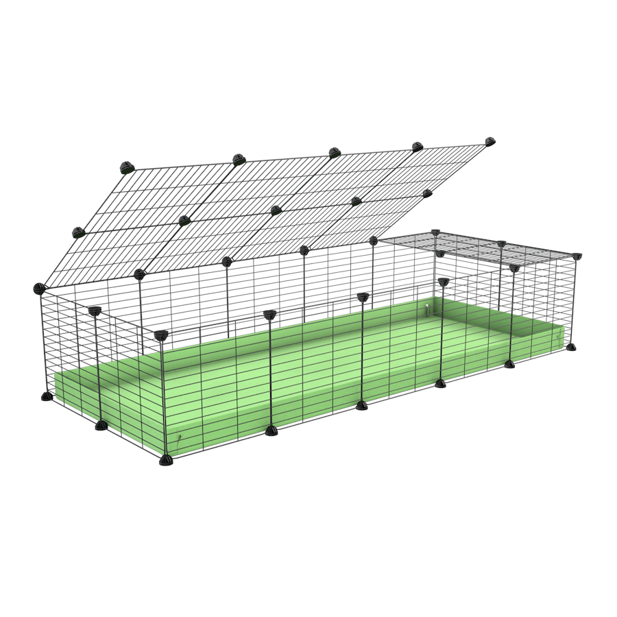 A 2x5 C and C cage for guinea pigs with green pastel pistachio coroplast a lid and small hole grids from brand kavee