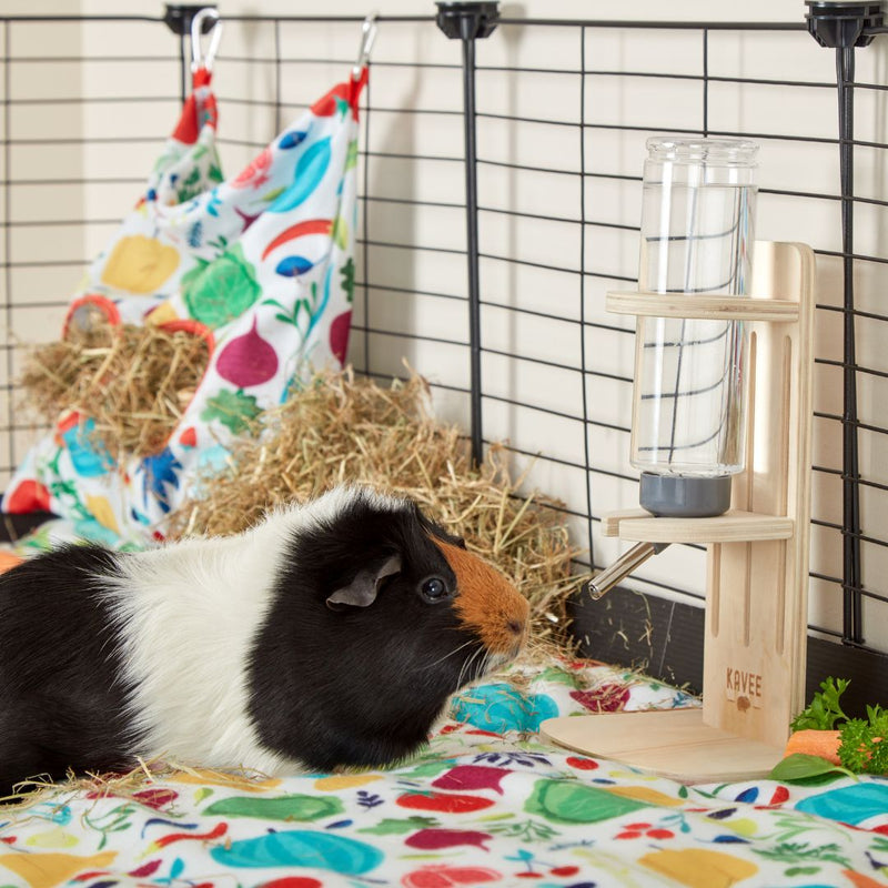 Tri coloured guinea pig sitting on veggie fleece liner next to wooden freestanding water bottle