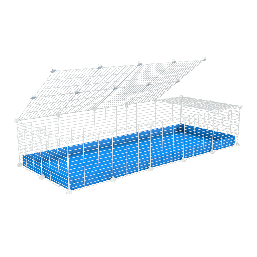 A 2x5 C and C cage for guinea pigs with blue coroplast a lid and small hole white C and C grids from brand kavee