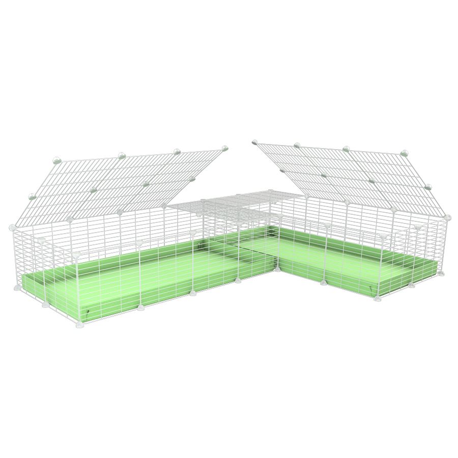 A 8x2 L-shape white C&C cage with lid divider for guinea pig fighting or quarantine with green coroplast from brand kavee