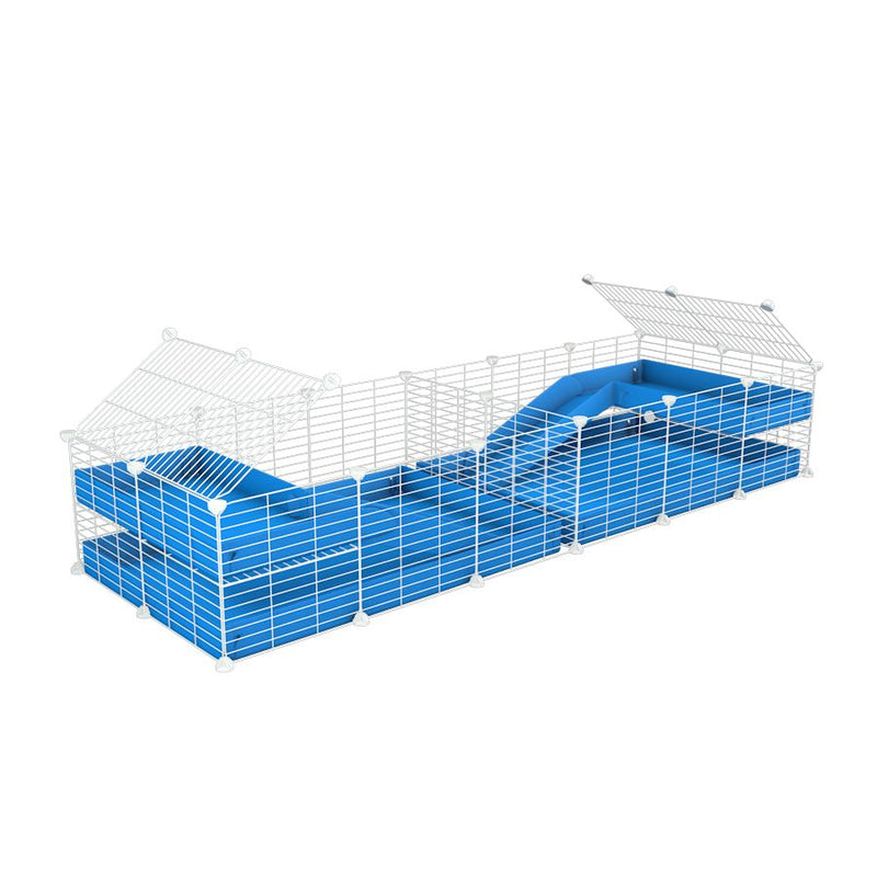 A 6x2 white C&C cage with divider and loft ramp for guinea pig fighting or quarantine with blue coroplast from brand kavee