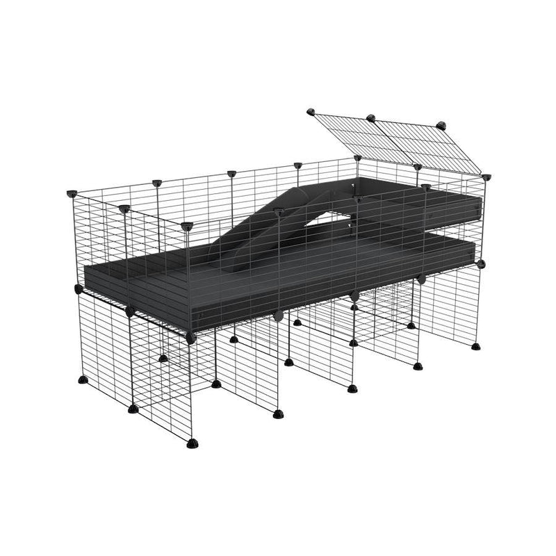 4x2 C&C Cage with Loft, Ramp & Stand
