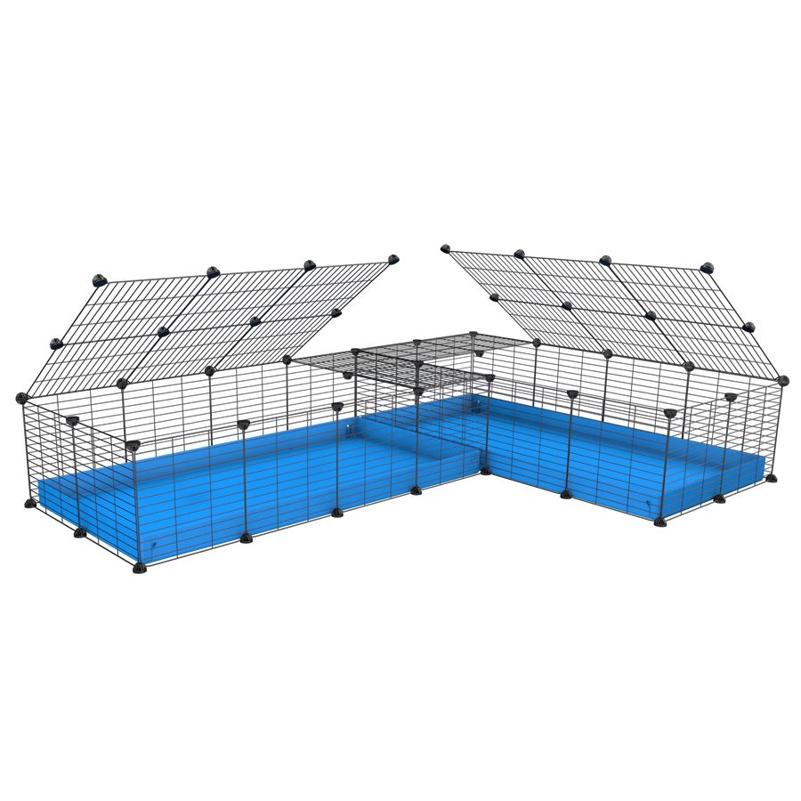 A 8x2 L-shape C&C cage with lid divider for guinea pig fighting or quarantine with blue coroplast from brand kavee