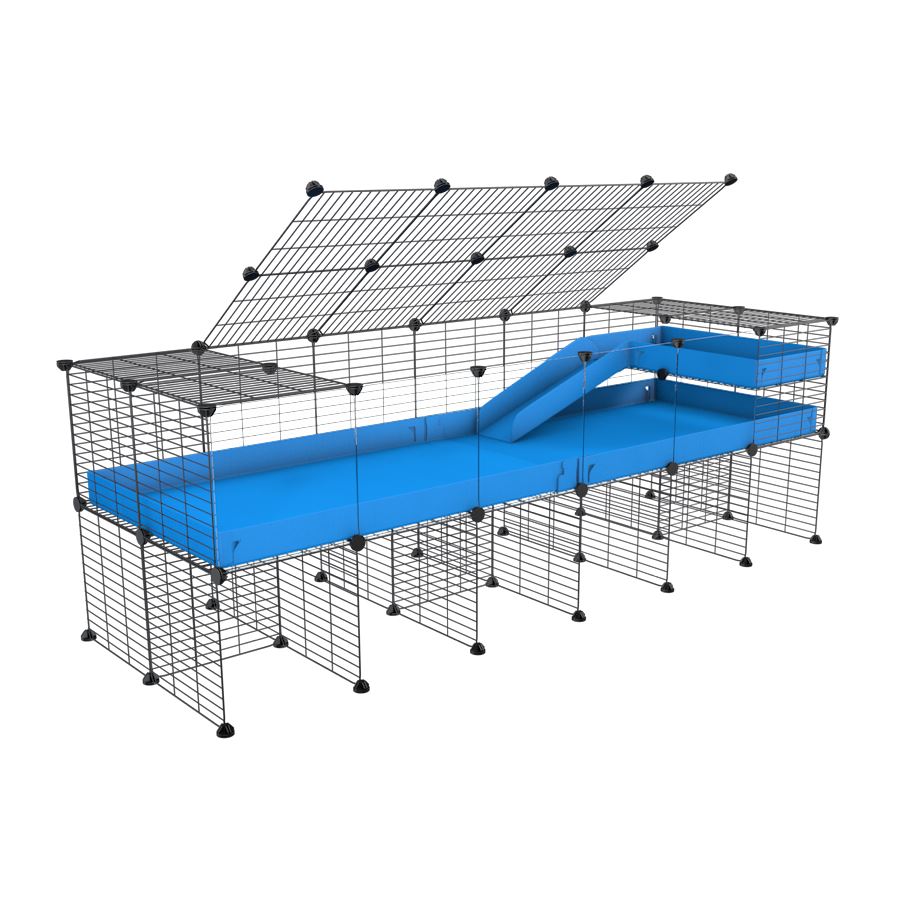 A 2x6 C and C guinea pig cage with clear transparent plexiglass acrylic panels  with stand loft ramp lid small size meshing safe grids blue correx sold in USA